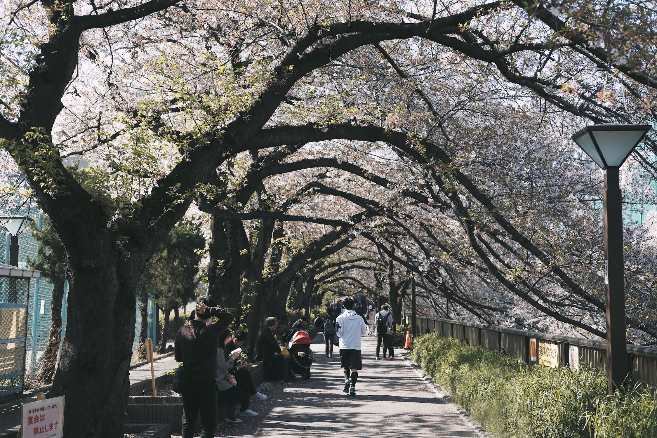 获得日本永居身份的六种方法！最快一年就能申请永住！