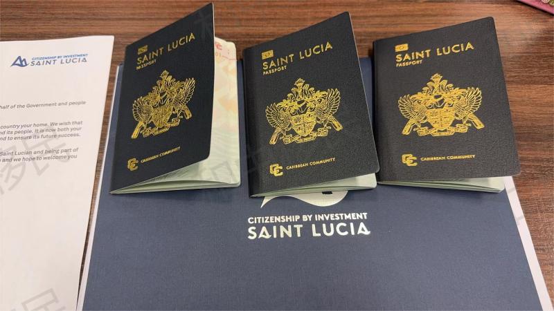 圣卢西亚护照：2024年5月一家三口最新获批